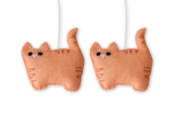 Orange Tabby