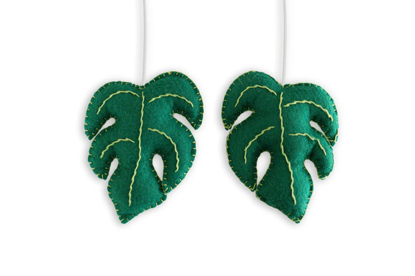 Monstera