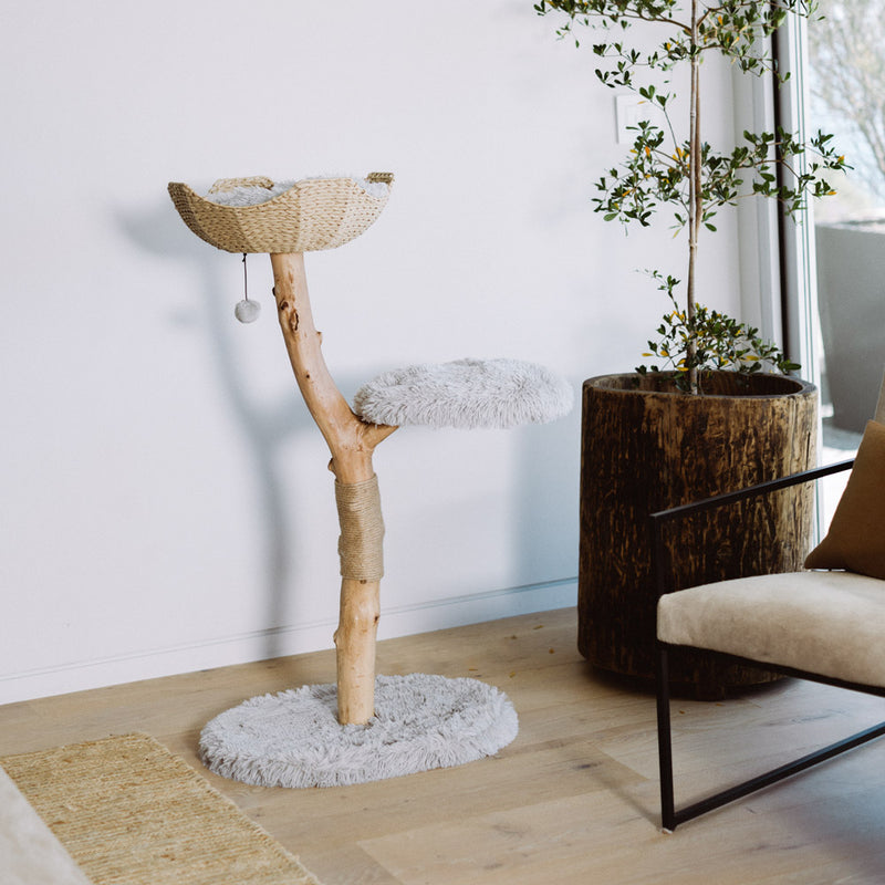 Uni Basket Wooden Cat Tree Unique Cat Tree Cat Tower Mau uni-basket-wooden-cat-tree-unique-cat-tree-cat-tower-mau