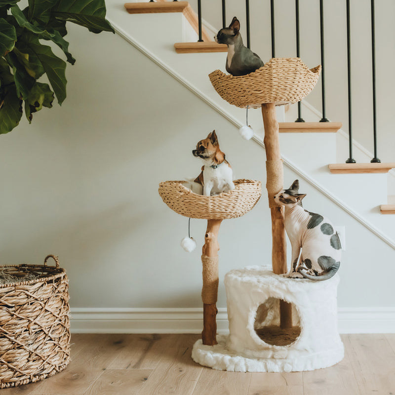 Cat Trees For Large Cats, Wicker Cat Tree, Cat Tree With Basket – Mau
