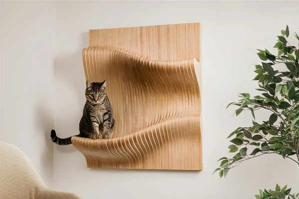 https://www.maupets.com/cdn/shop/files/nami-modern-wood-cat-shelf-for-large-cats-1_grande.webp?v=1723838138