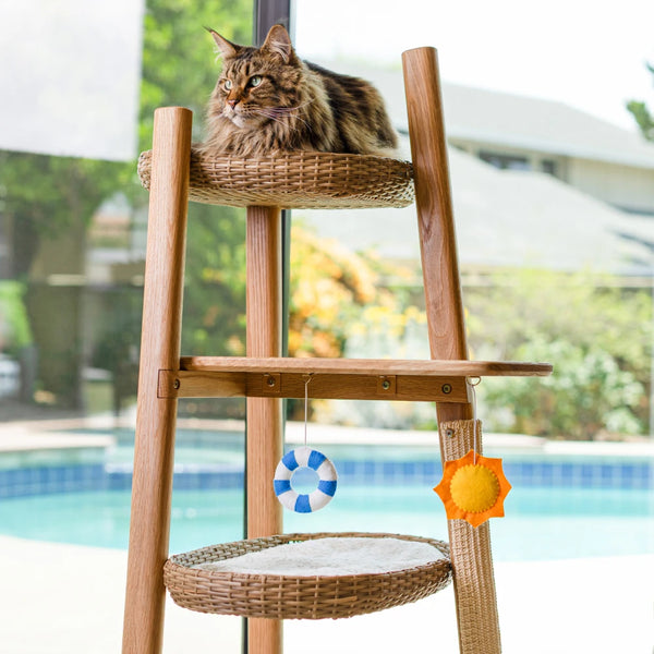 Pool Party