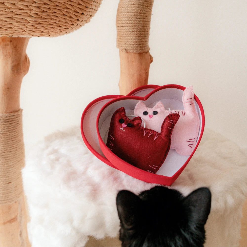 Sweetheart Kitty-Cats