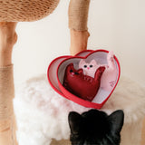 Sweetheart Kitty-Cats