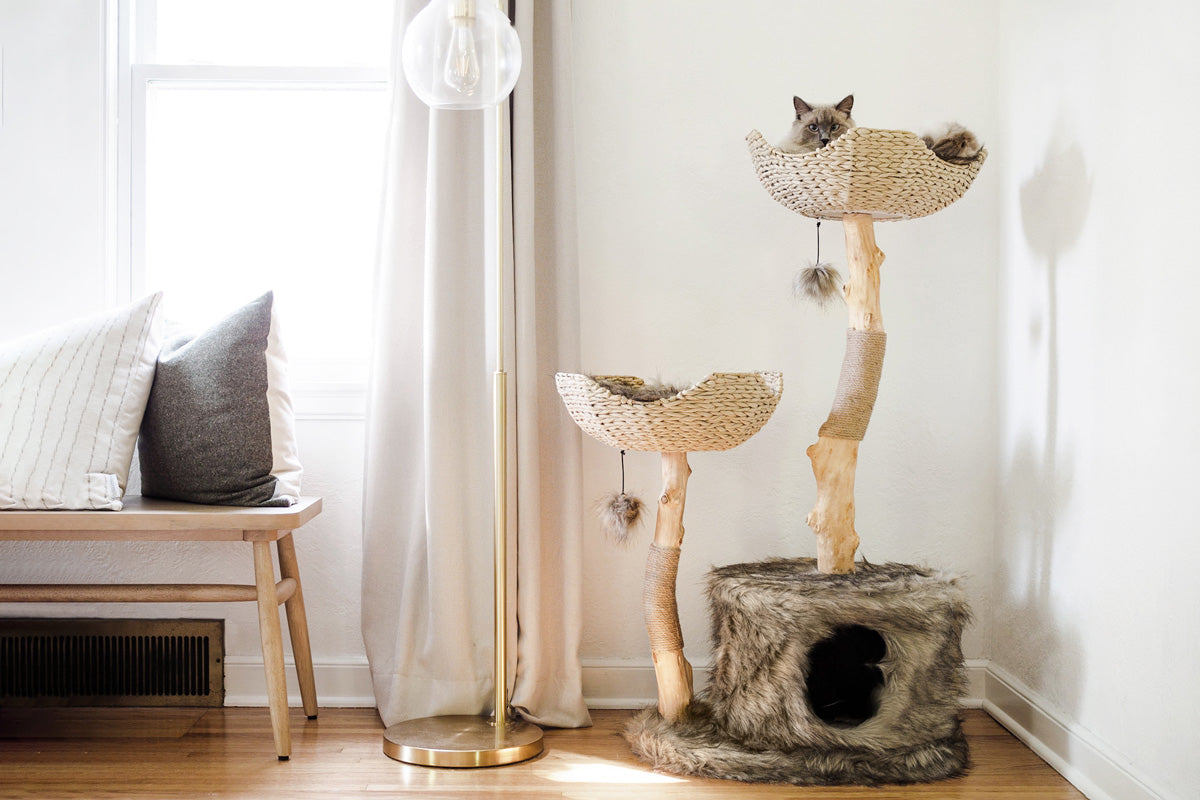 Cat Trees For Large Cats, Wicker Cat Tree, Cat Tree With Basket Mau