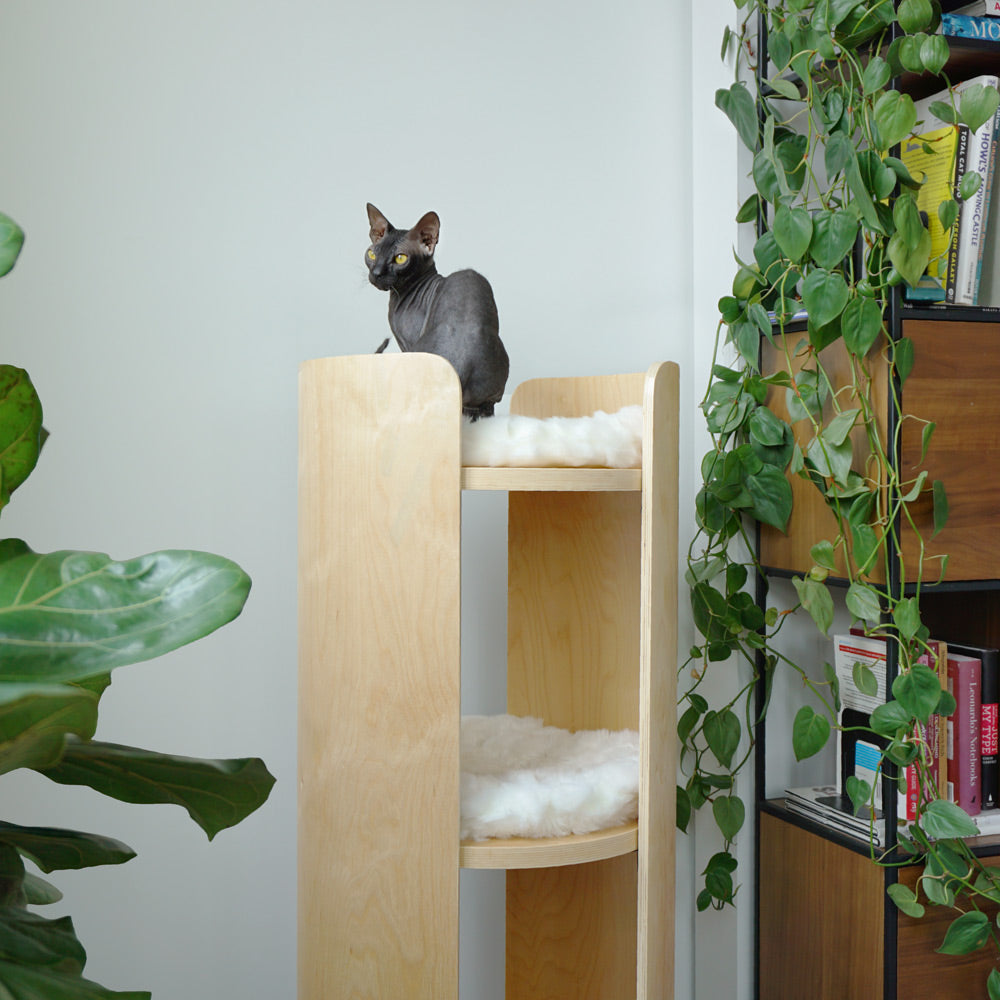 Castillo Plywood Bended Cat Tree, Modern Cat Tree, Mau Lifestyle