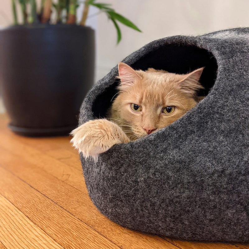Modern cat cave shop