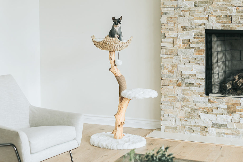 Natural deals cat tree