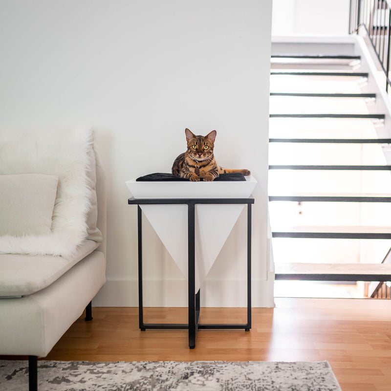 Pyramid cat bed sales