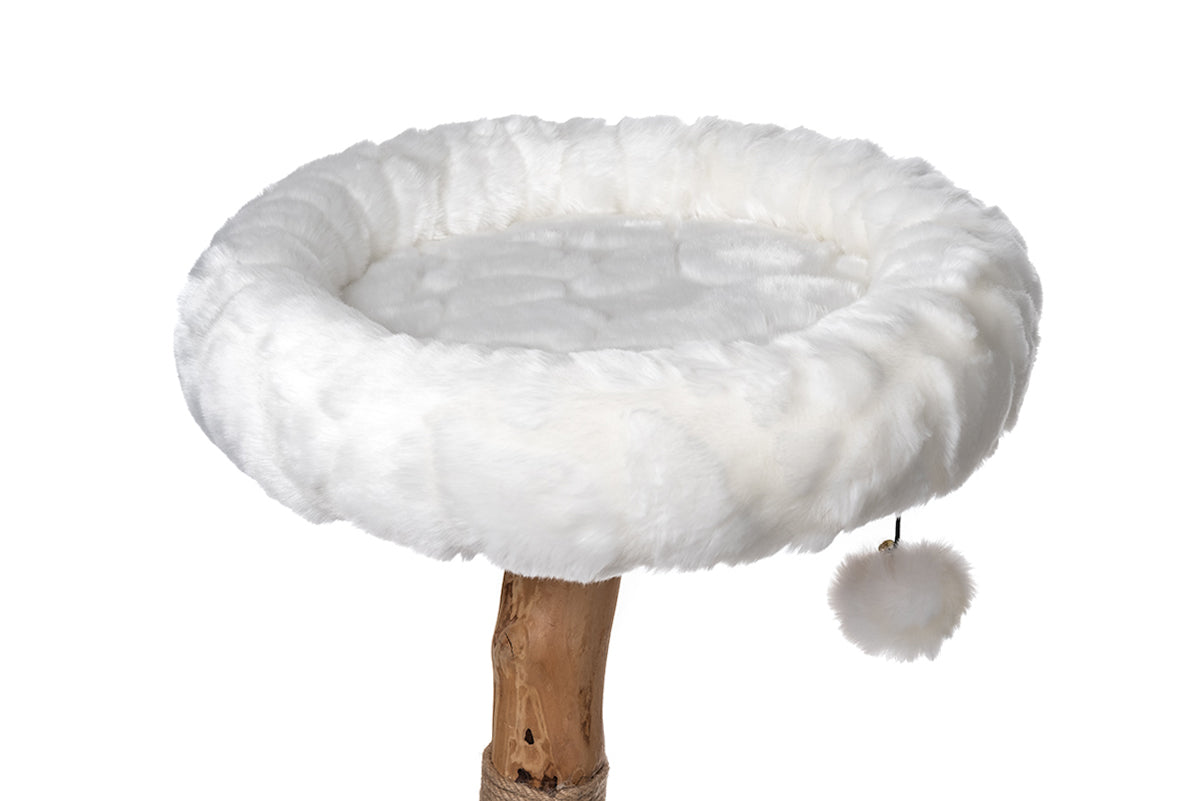 Cotton White