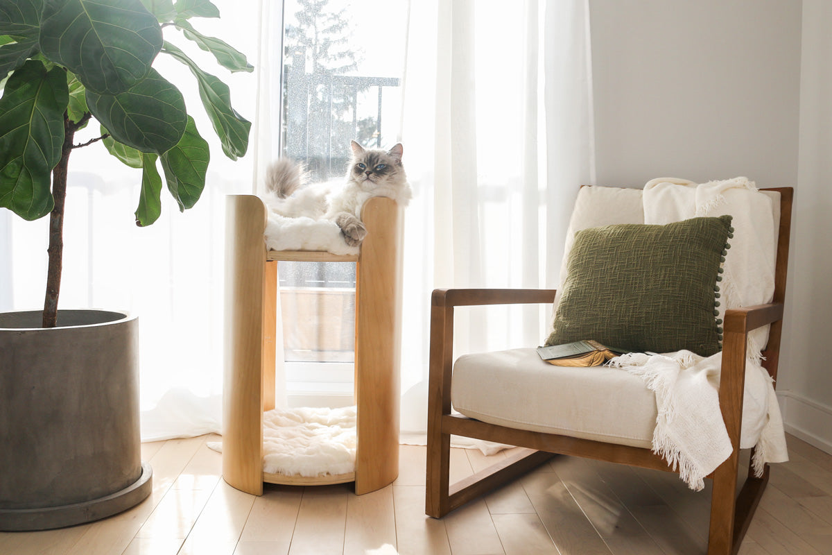 Real Wood Cat Trees
